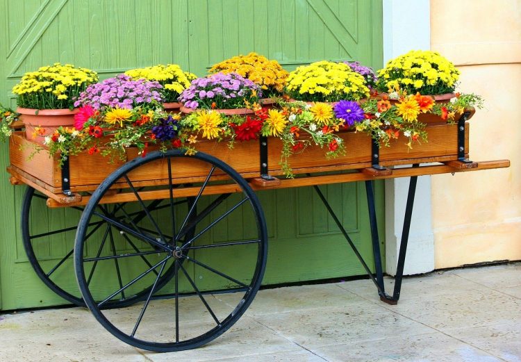flower-cart-58418_1280