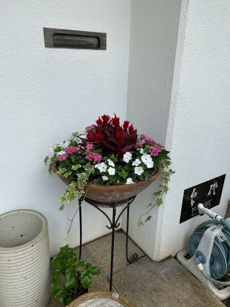 庭やベランダで寄せ植えしたい 家の中をお花で華やかにしたい 東京都内近郊のフラワーアレンジメント ガーデニング教室 ウィークルマガジン