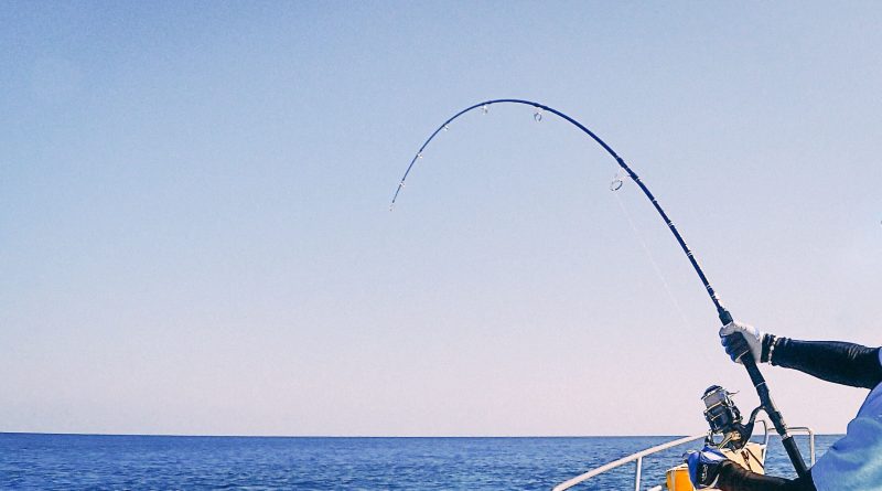 釣りの基本情報まとめ ウィークルマガジン