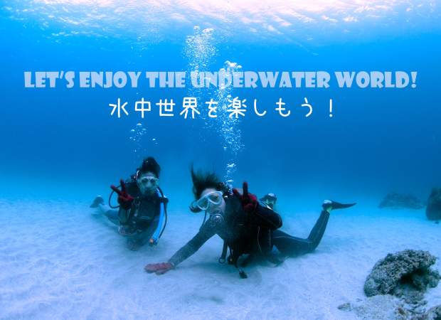 貸し切りツアーも可能！屋久島の美しい海の中を散策！初めての方でも安心してご参加ください！体験ダイビング・1ダイブコース