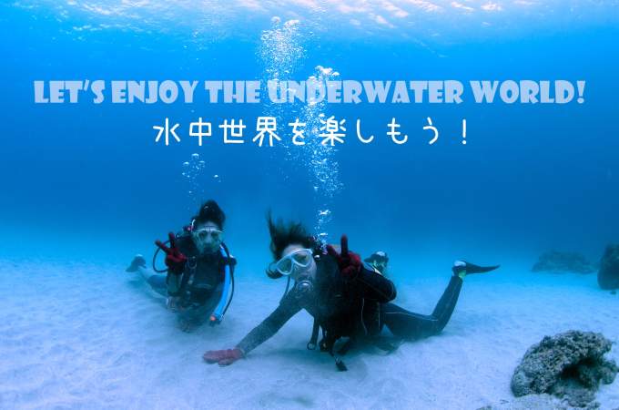 貸し切りツアーも可能！屋久島の美しい海の中を散策！初めての方でも安心してご参加ください！体験ダイビング・1ダイブコース