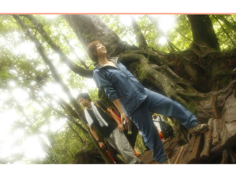 【1番人気☆】白谷雲水峡ハイキング【映画の舞台になった苔の森へ】