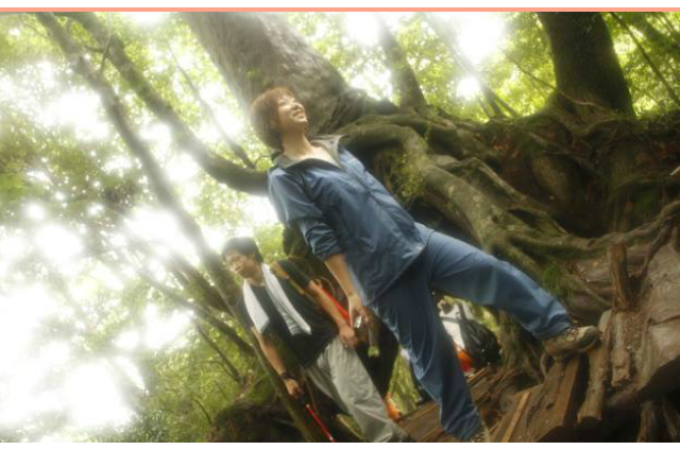 【1番人気☆】白谷雲水峡ハイキング【映画の舞台になった苔の森へ】