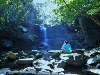 【西表島】10月～5月限定・半日森林浴トレッキングツアー