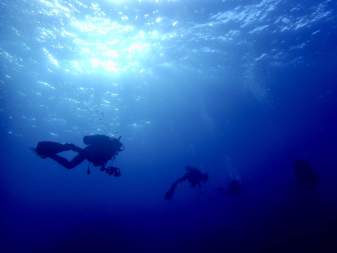 安心マンツーマンで特別な体験ダイビング♪ 伊豆大島の海を満喫しよう♪