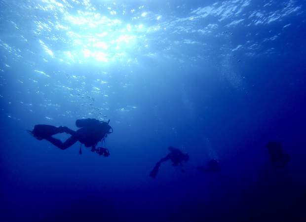 安心マンツーマンで特別な体験ダイビング♪ 伊豆大島の海を満喫しよう♪
